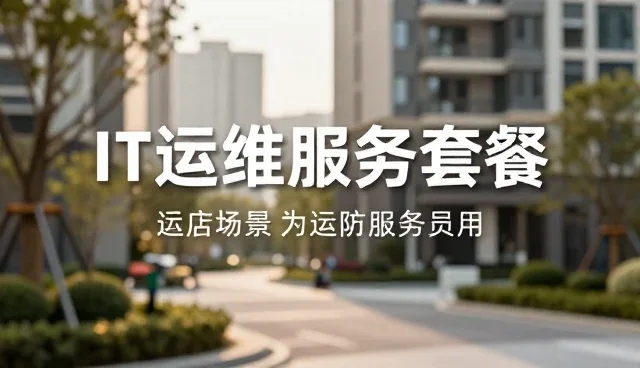 实际应用中定制化服务的常见问题与应对策略