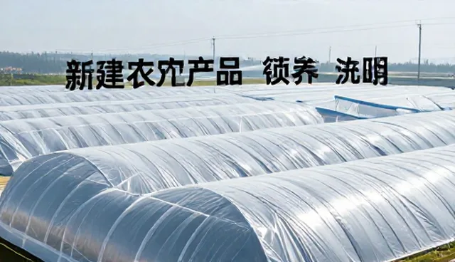 如何选择适合的环境因素对农产品销售的影响?